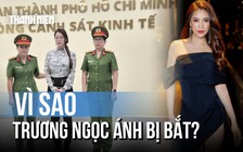 Vì sao diễn viên Trương Ngọc Ánh bị bắt?