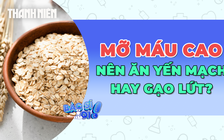 Mỡ máu cao: Ăn yến mạch hay gạo lứt đem lại hiệu quả cao hơn?
