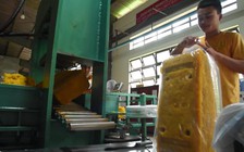 Tập đoàn Công nghiệp Cao su Việt Nam: Vững vàng hội nhập, dẫn đầu phát triển bền vững