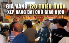Giá vàng 120 triệu đồng/lượng: Xếp hàng dài chờ giao dịch ở TP.HCM