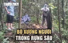 Phát hiện bộ xương người khi vào rừng tìm mật ong