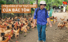 Cùng sống xanh số 115: Kỹ sư thực chiến U70 và những giải pháp thuận tự nhiên trên nông trại