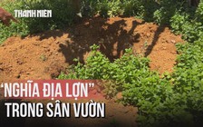 Lợn chết hàng loạt ở Huế, người dân đào sẵn 'nghĩa địa' sau vườn