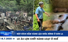 Xem nhanh 12h: Đột kích hầm vàng lậu giữa rừng | Lo âu lợn chết hàng loạt ở Huế