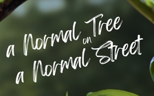 'A normal tree on a normal street' | Cuộc thi phim ngắn Vietnamese 2025