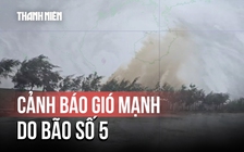 Bão số 5: Cảnh báo gió mạnh khi bão đổ bộ đất liền vào chiều 25.8