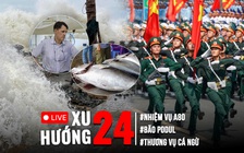 Xu Hướng 24: Những nước nào sẽ tham gia A80 tại Việt Nam? | Ảnh hưởng của bão Podul