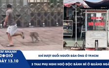 Xem nhanh 20h ngày 13.10: Khỉ rượt đuổi người đàn ông ở TP.HCM | 3 thai phụ nghi ngộ độc bánh mì ở Quảng Ngãi