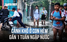 Cảnh khổ ở hẻm TP.HCM: Gần 1 tuần ngập nước, học sinh lội nước đi học