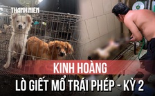 Kinh hoàng bên trong lò giết mổ chó mèo trái phép - Kỳ 2
