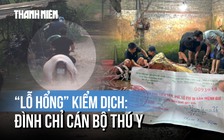Xử lý vụ 'lỗ hổng kiểm dịch': Hà Nội, Phú Thọ chỉ đạo nóng, tạm đình chỉ cán bộ thú y