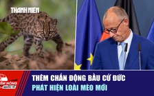 Tiêu điểm quốc tế ngày 22.9: Thêm chấn động bầu cử Đức | Phát hiện loài mèo mới