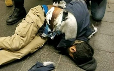 Nghi phạm đánh bom New York khai muốn trả thù Israel