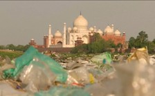 Nguy nga gần 4 thế kỷ, đền Taj Mahal đang 'chết dần' vì ô nhiễm