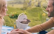 Tỷ lệ sinh thấp, Ba Lan khuyến khích dân học theo... thỏ để có nhiều con