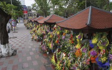Dãy quán hoa đẹp nhất Việt Nam