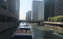 Chicago nhìn từ sông