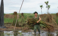Chính quyền cho thuê sông, dân mất kế sinh nhai