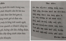 Đề xuất cải cách tiếng Việt: Những người cô đơn