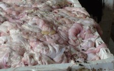 [VIDEO] Ghê rợn luộc lòng heo bằng bột Trung Quốc để kích nở 40%