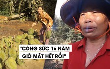 Cay đắng vì trận lốc xoáy 5 phút phá tan gia sản tích góp bao năm