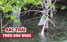 Rác đầy các bãi biển Côn Đảo, dọn 1 tuần 3 buổi vẫn không sạch