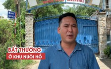 Cận cảnh nơi nuôi con hổ vồ nát 2 tay người đàn ông ở Bình Dương