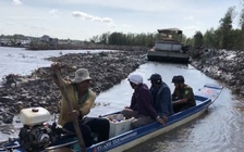 Ngang nhiên chặt cây, hút bãi bồi: UBND tỉnh Cà Mau yêu cầu kiểm tra thông tin Báo Thanh Niên phản ánh