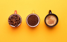 Bí quyết sống lâu là 3 tách cà phê mỗi ngày?