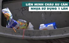 Đồ nhựa dùng một lần rồi bỏ sẽ bị châu Âu cấm hoàn toàn