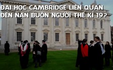 Đại học Cambridge từng hưởng lợi nhờ nạn buôn nô lệ sang châu Mỹ?