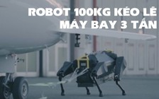 Robot chó mạnh mẽ kéo máy bay 3 tấn