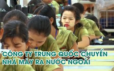 Doanh nghiệp Trung Quốc vùng vẫy tìm đường thoát khỏi chiến tranh thương mại