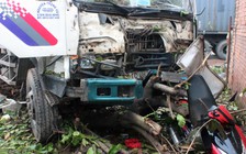 Xe mất thắng, tài xế chủ động lao vào gốc cây