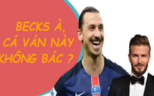 Ibrahimovic dụ Beckham cá cược trận Anh - Thụy Điển