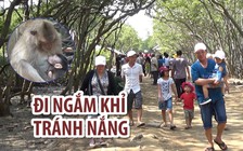 Người Sài Gòn đổ xô đi Đảo Khỉ Cần Giờ tránh nóng