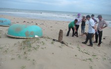 Khoảnh khắc ám ảnh khi hải cẩu bị đánh chết khiến người dân Đồi Dương nhớ mãi