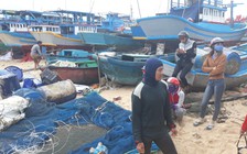 Bão số 15: Sóng gió đánh vỡ tan nhiều lồng bè nuôi cá ở đảo Phú Quý