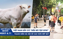 Xem nhanh 20h ngày 6.11: Việt Nam sắp có “siêu bò tập gym” | Thanh niên Hà Nội sẽ cao hơn mét bảy