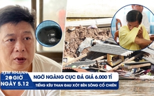 Xem nhanh 20h ngày 6.12: Ngỡ ngàng cục đá giá 6.000 tỉ | Tiếng kêu than xót xa từ vụ sạt lở miền Tây