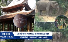 Xem nhanh 20h ngày 18.12: Lời tỏ tình xâm hại di tích đặc biệt | Cận cảnh voi rừng “đại náo” bản làng