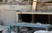 Miền nam Syria yên ắng sau lệnh ngừng bắn