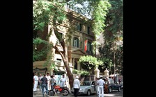 Đại sứ quán Triều Tiên tại Ai Cập bị tố bán vũ khí