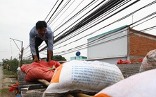 Người dân Tiền Giang chuẩn bị ứng phó với bão số 16