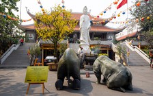 Động vật hoang dã bất ngờ kêu cứu tại cửa chùa đúng ngày 23 tháng chạp