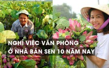 Nghỉ việc văn phòng, ở nhà bán hoa sen 10 năm nay