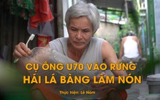 Cụ ông U70 vào rừng hái lá bàng làm nón