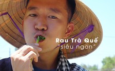 Hoàng Nam ChallengeMe và YouTuber nước ngoài làm nông dân ở vườn rau Trà Quế