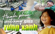 Cao su Việt trên đất Campuchia: Hạnh phúc trắng giữa rừng xanh