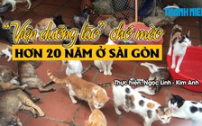 Người phụ nữ hơn 20 năm kiếm tìm chó mèo xấu số về “Viện dưỡng lão”